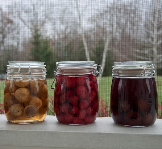 Jarred fruit