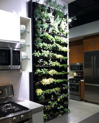 Indoor wall herb garden