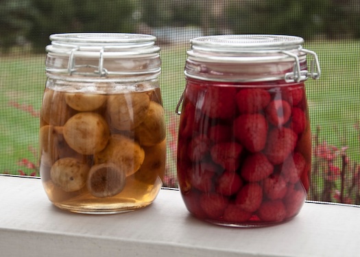 Fig & Raspberry