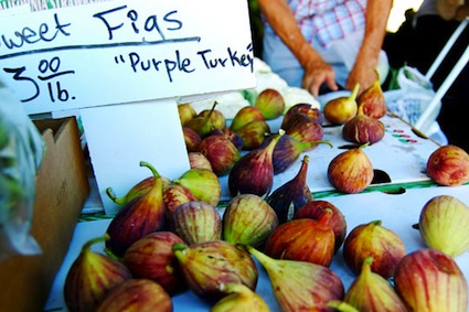 Figs