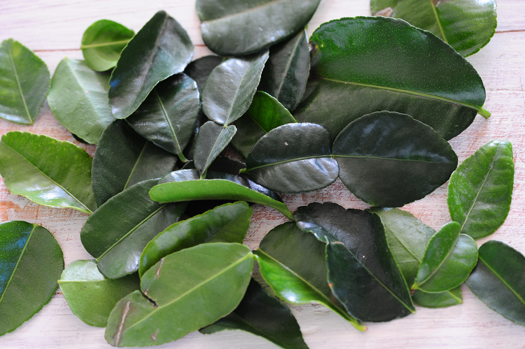 Kaffir lime leaves
