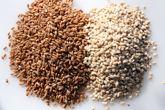 grains