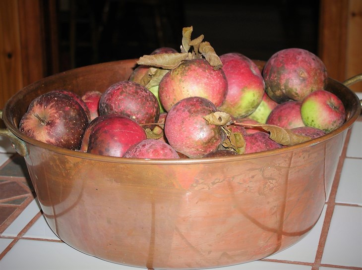 apples