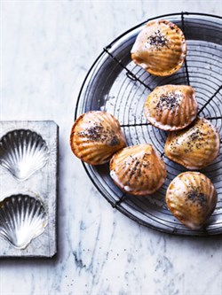 Lemon & poppy seed madeleines