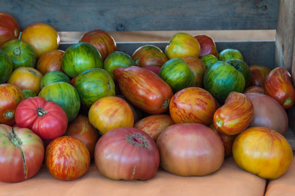 heirloom tomatoes