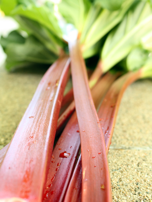 Rhubarb