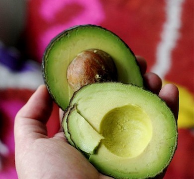 Avocado