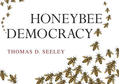 Honeybee Democracy