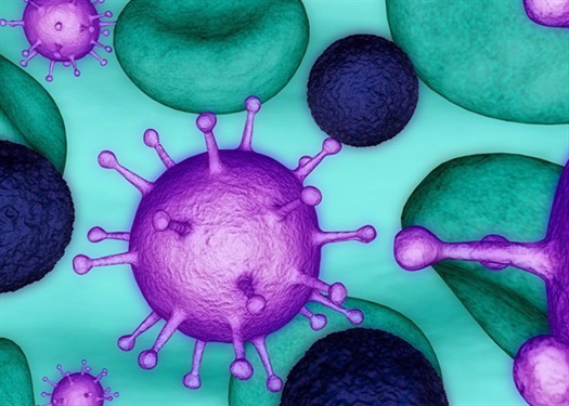 bacteria