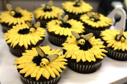 Bee my valentine cupcakes