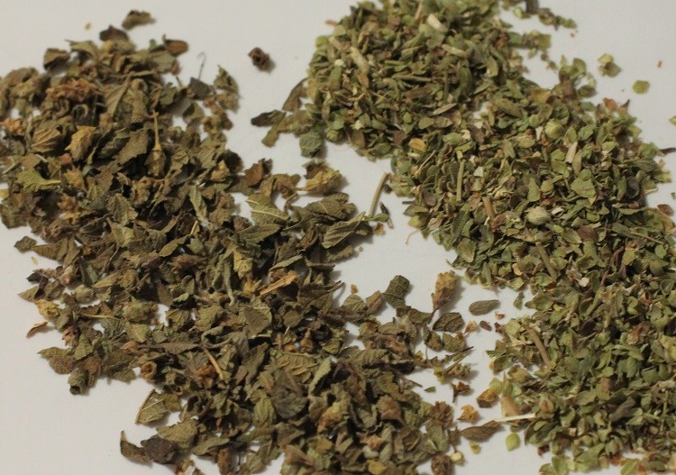 oregano