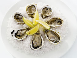 oysters