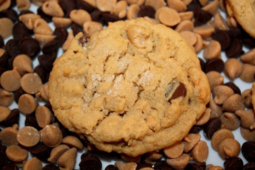 Peanut butter chip cookies