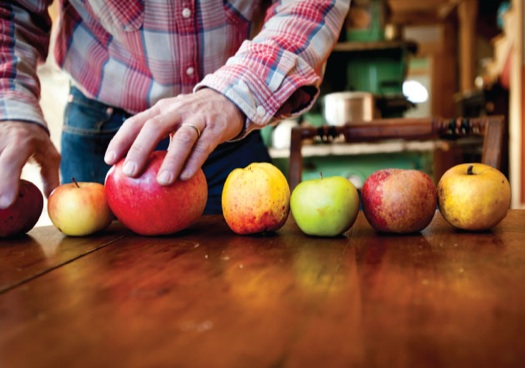 Rare apples