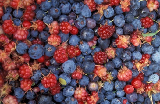 Mixed berries