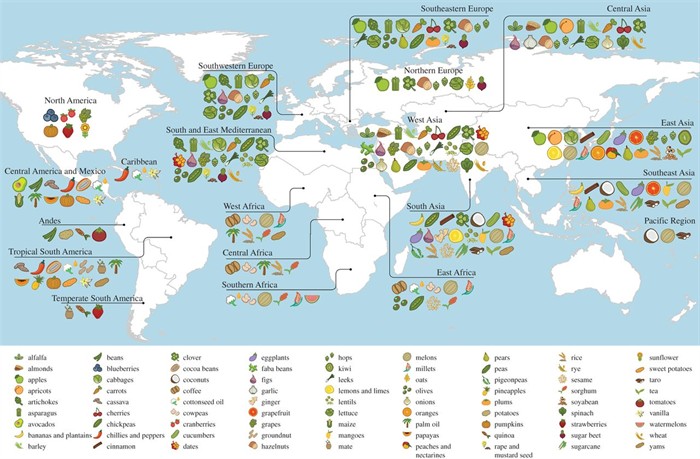 food map