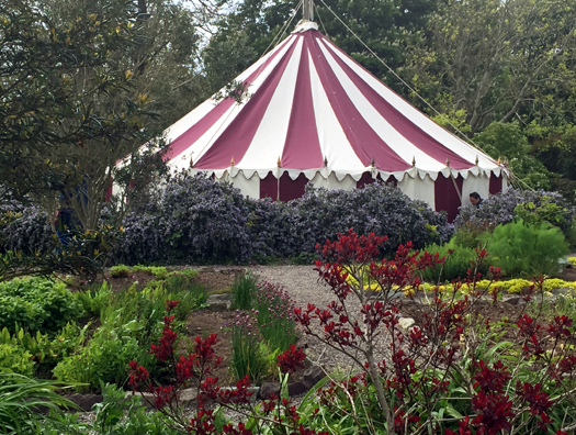 Ballymaloe grounds