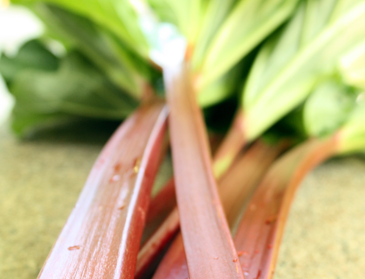 rhubarb