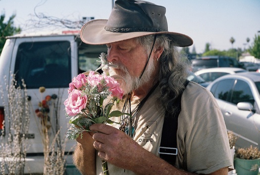 Wildflower guy