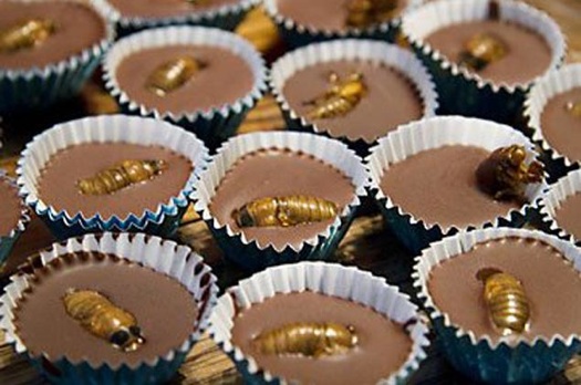cicada peanut butter cups