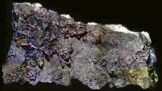 Prehistoric food 525