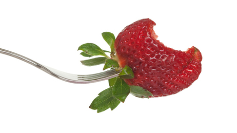 Strawberry Bite