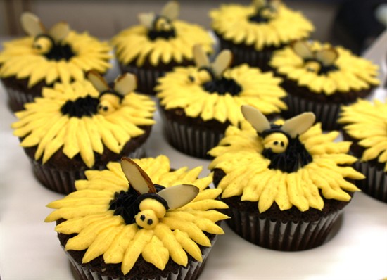 Cupcakes