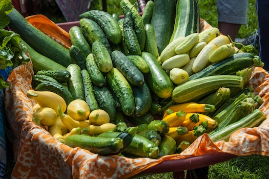 Fresh Vegies